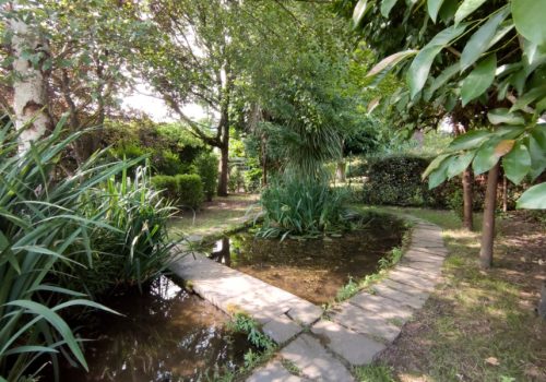 Jardines Colexio Fingoi